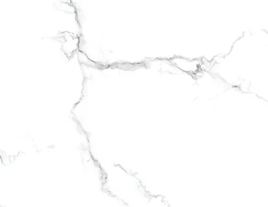 Statuario Silver Veil